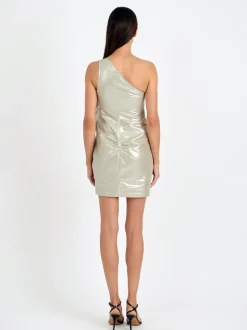 Kendal Dress in Champagne